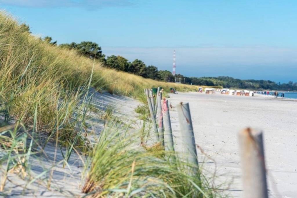 Ferienhaus Sanddorn Breege- Zwischen Bodden & Meer المظهر الخارجي الصورة