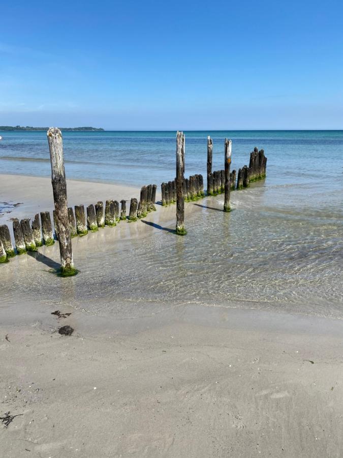 Ferienhaus Sanddorn Breege- Zwischen Bodden & Meer المظهر الخارجي الصورة